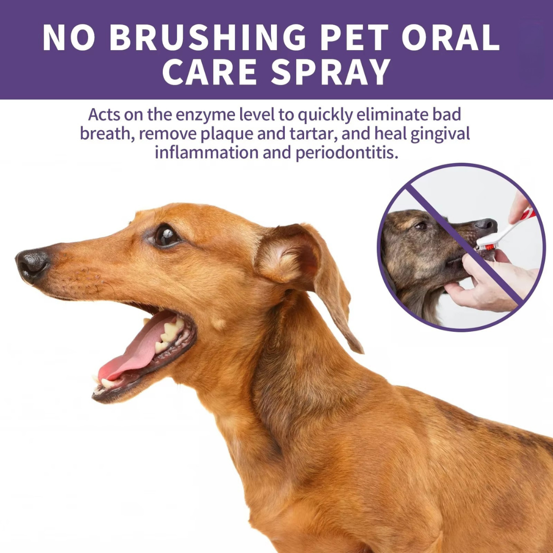 VitalPaws Oral Care Sprayβ’