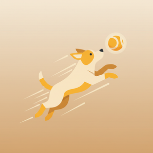 Boost Energy & Vitality