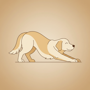 Reduce Inflammation & Discomfort